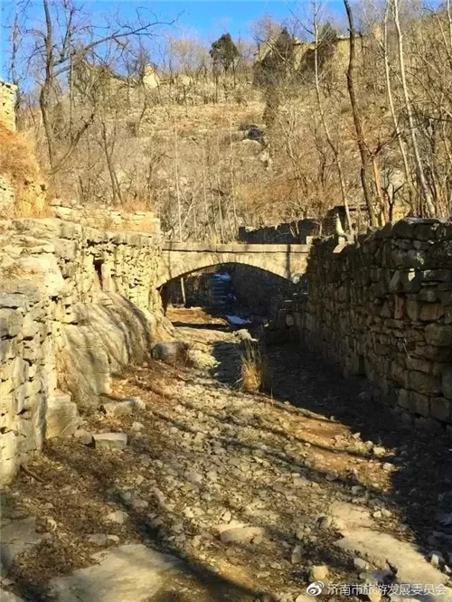 濟南章丘這個古村落里竟藏著顆千年古樹