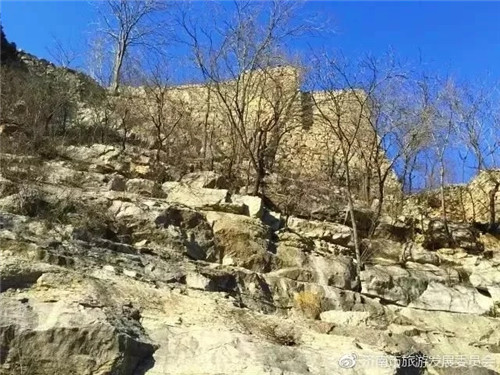 濟南章丘這個古村落里竟藏著顆千年古樹