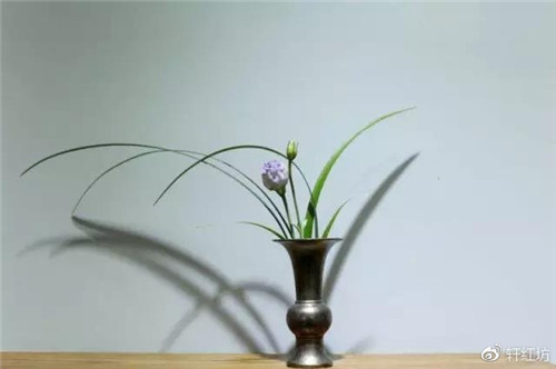 茶道，缺少插花不成雅致