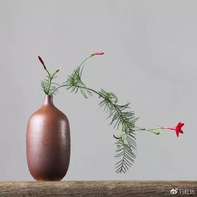 茶道，缺少插花不成雅致