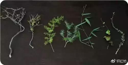 茶道，缺少插花不成雅致