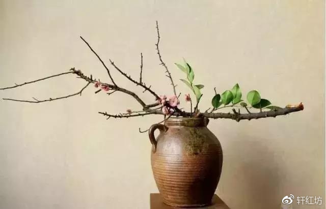 茶道，缺少插花不成雅致