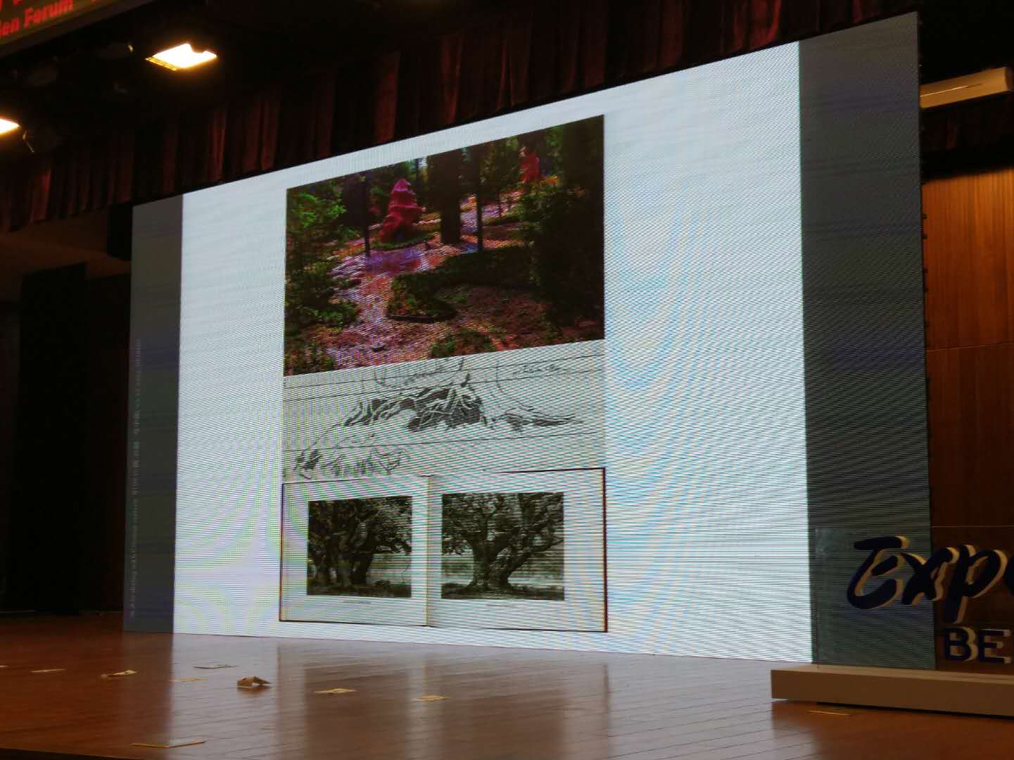 北京園藝博覽會國外設計師創意展園論壇舉辦