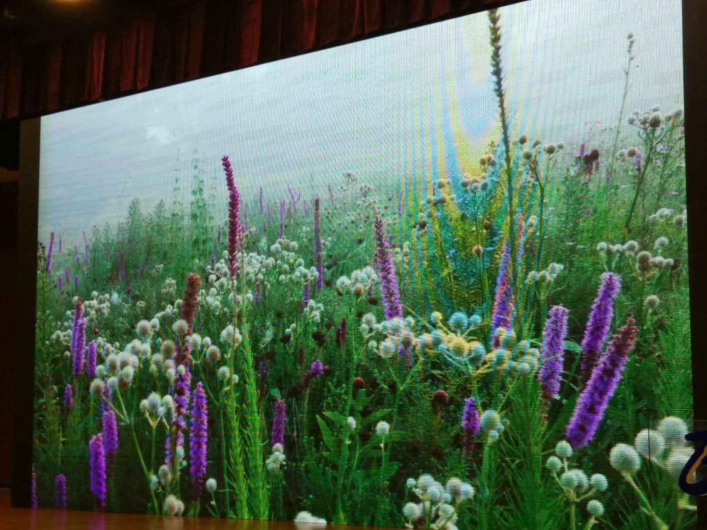 北京園藝博覽會國外設計師創意展園論壇舉辦