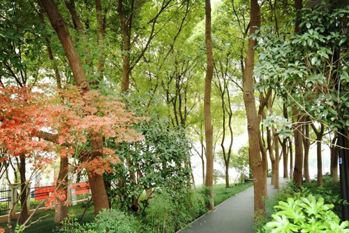 2017園冶杯專業獎現場評審報道(杭州站)