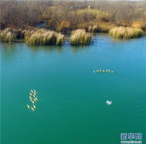 河南省鶴壁市淇河國家濕地公園景色秀美
