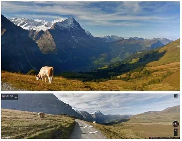 景觀設計師是AI界的大坑嗎？