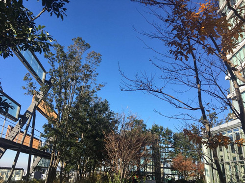 日本景觀考察：與隈研吾、戶(hù)田芳樹(shù)大師對(duì)話