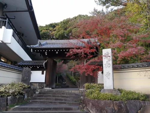 日本景觀考察,對話禪僧大師枡野俊明