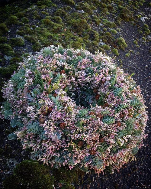 花藝的魅力:花環設計