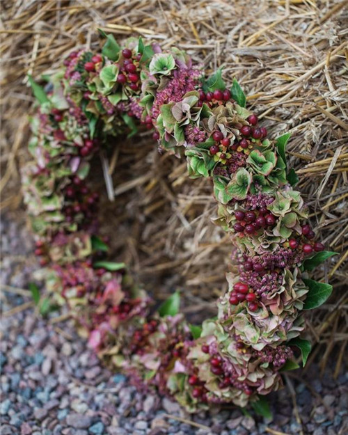 花藝的魅力:花環設計