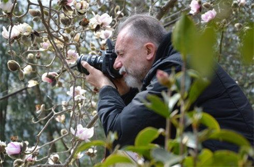 林深景美的云南寶臺山國家森林公園