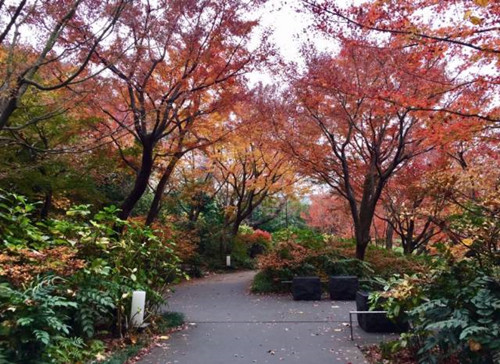 日本景觀考察,安藤忠雄40年作品展