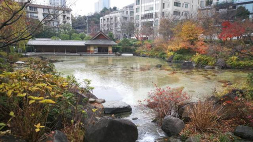 日本景觀考察,安藤忠雄40年作品展