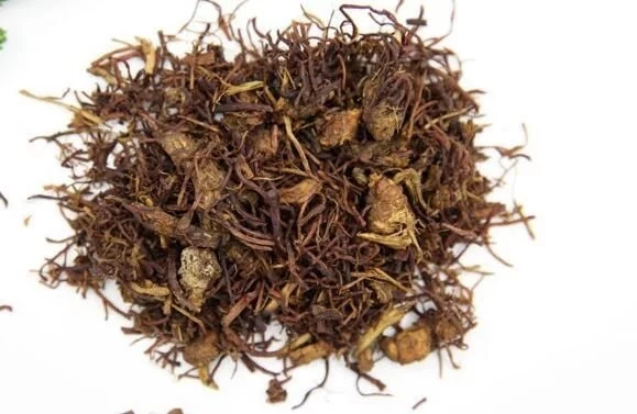 菊科植物紫菀還是著名的中藥材!