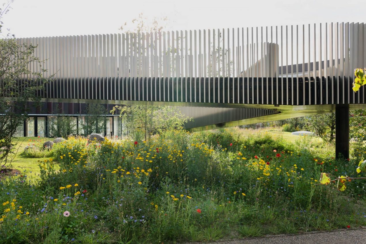 斯堪的納維亞大獎作品——馬士基塔的綠色屋頂