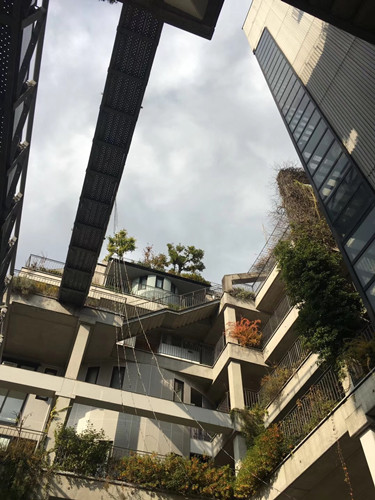 日本景觀考察：與鳳研究所交流