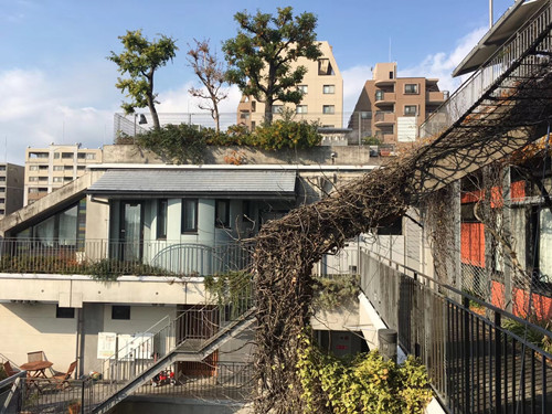 日本景觀考察：與鳳研究所交流