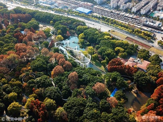 航拍上海森林公園初冬 層林盡染如五彩地毯