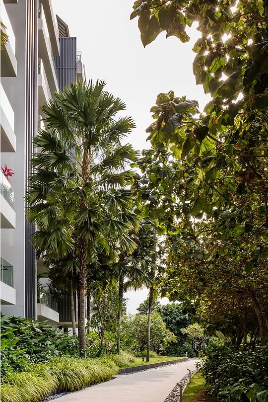 TROP作品:新加坡海景住宅景觀設計