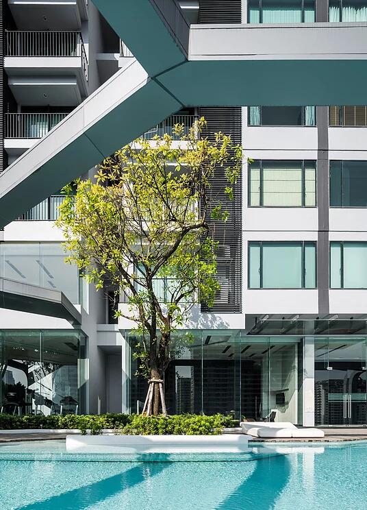 TROP作品:派恩(Pyne)住宅景觀設計