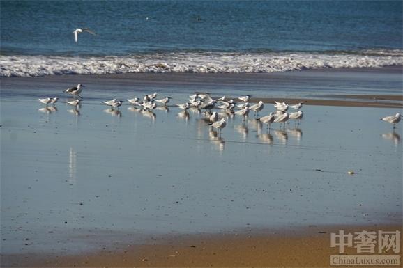 生物多樣性的范本 多南那國家公園