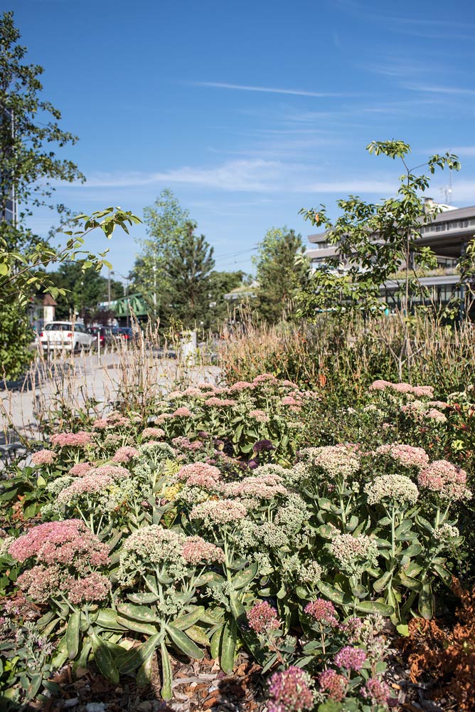 多模式交通樞紐的公共空間設計