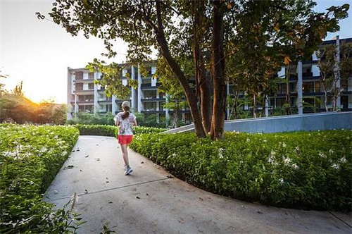 TROP作品:雨林邊緣的度假村住宅景觀設計