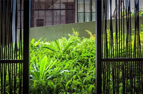 TROP作品:雨林邊緣的度假村住宅景觀設計