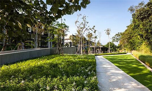 TROP作品:雨林邊緣的度假村住宅景觀設計