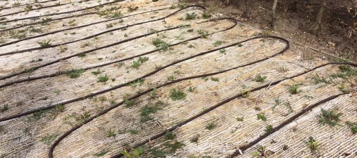 柏林2017國際花園博覽會（IGA）大師作品展