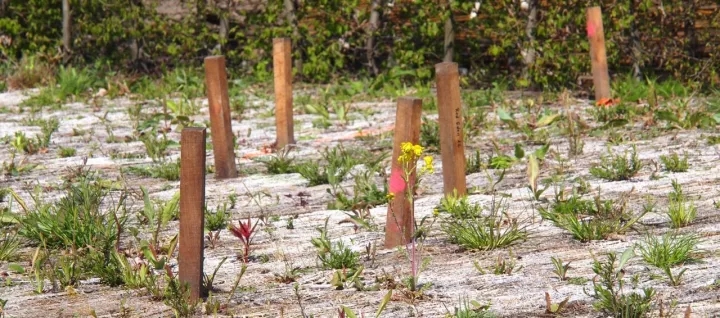 柏林2017國際花園博覽會（IGA）大師作品展