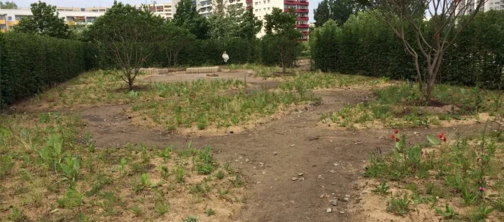 柏林2017國際花園博覽會（IGA）大師作品展