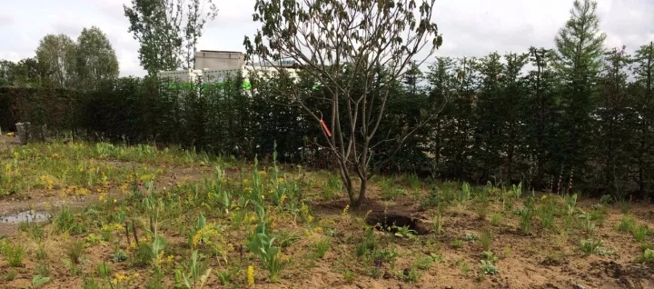 柏林2017國際花園博覽會（IGA）大師作品展