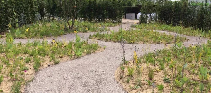 柏林2017國際花園博覽會（IGA）大師作品展