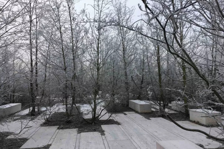 柏林2017國際花園博覽會（IGA）大師作品展