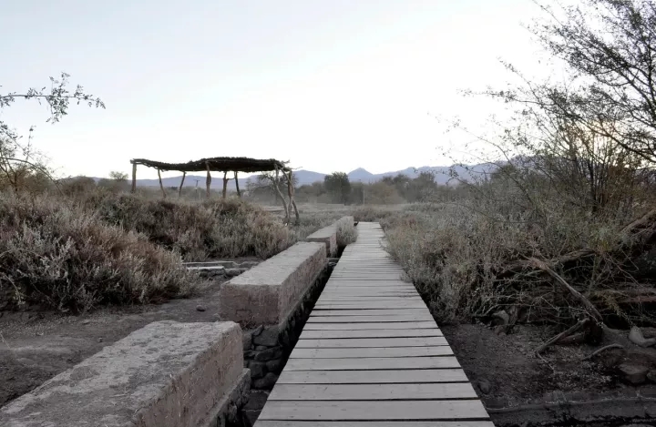 柏林2017國際花園博覽會（IGA）大師作品展