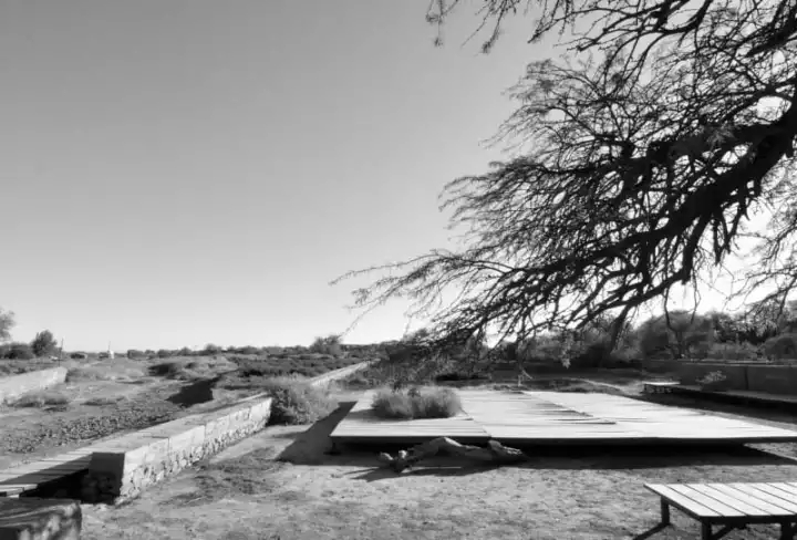 柏林2017國際花園博覽會（IGA）大師作品展