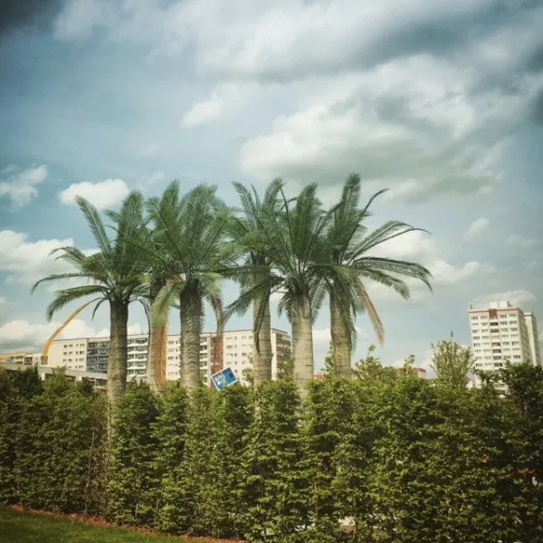 柏林2017國際花園博覽會（IGA）大師作品展