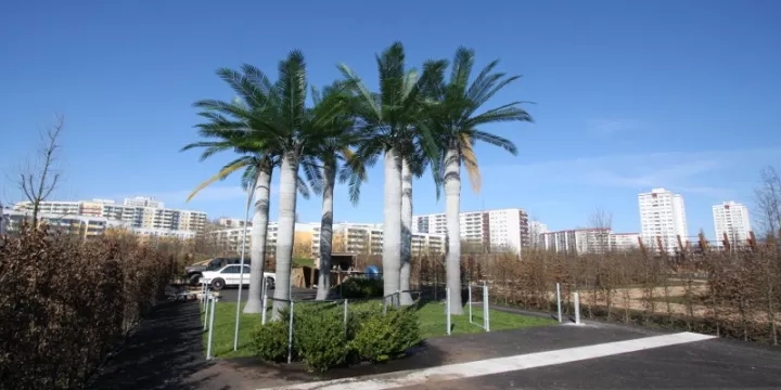 柏林2017國際花園博覽會（IGA）大師作品展