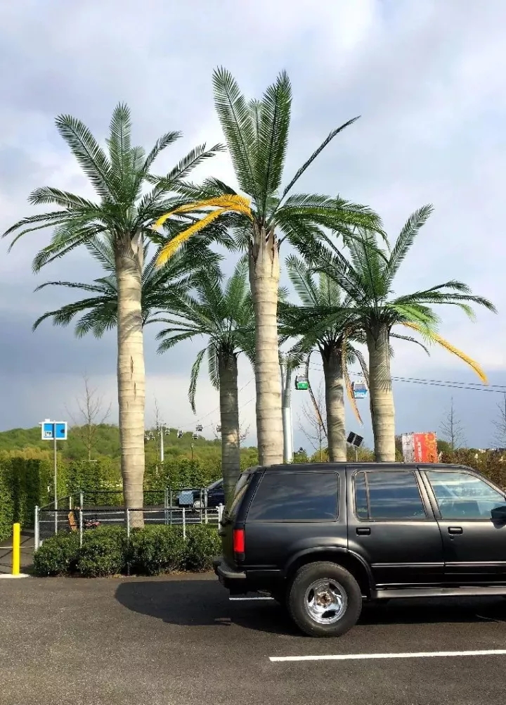 柏林2017國際花園博覽會（IGA）大師作品展