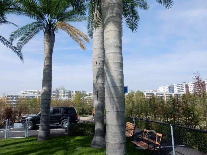 柏林2017國際花園博覽會（IGA）大師作品展