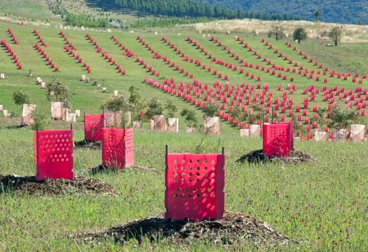 柏林2017國際花園博覽會（IGA）大師作品展