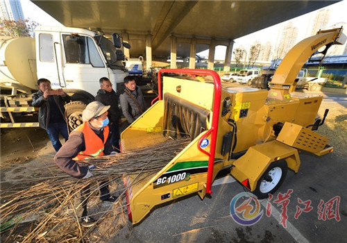 湖北襄陽：園林局引進(jìn)樹枝粉碎機(jī)