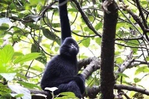 保持生物多樣性 守護逐漸消失的生物樂園