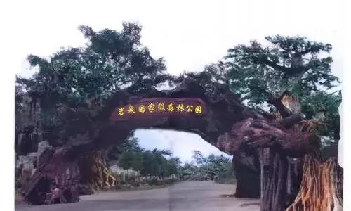 江西又有三個國家公園入選“中國森林氧吧”