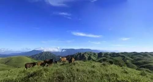 江西又有三個國家公園入選“中國森林氧吧”