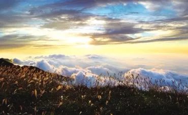 江西又有三個國家公園入選“中國森林氧吧”