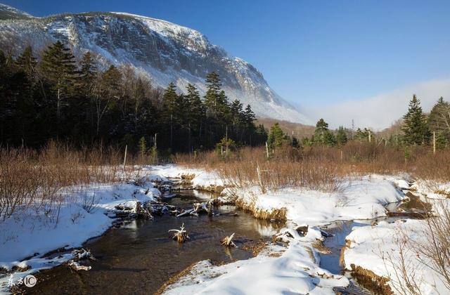森林之都,住在這里就像住在公園一樣