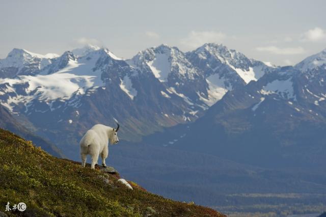 森林之都,住在這里就像住在公園一樣